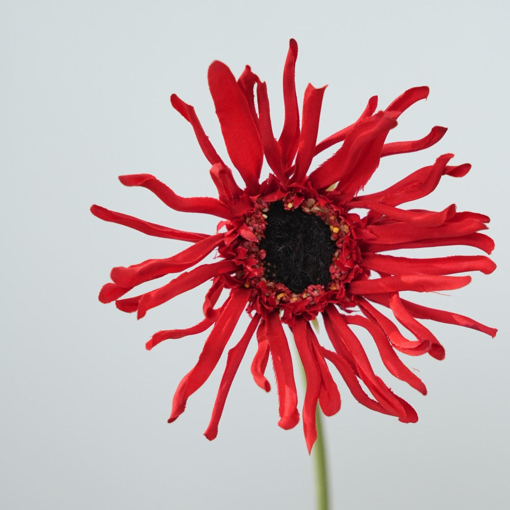 Realistic Sunflower Stem