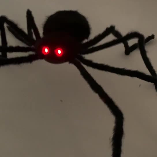 Creepy Halloween Spider Decoration Set