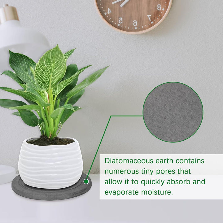Decorative Plant Tray