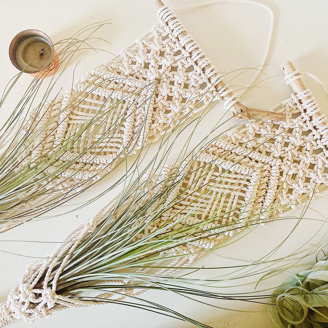 Macrame Wall Hanging Plant Holder Kalsten