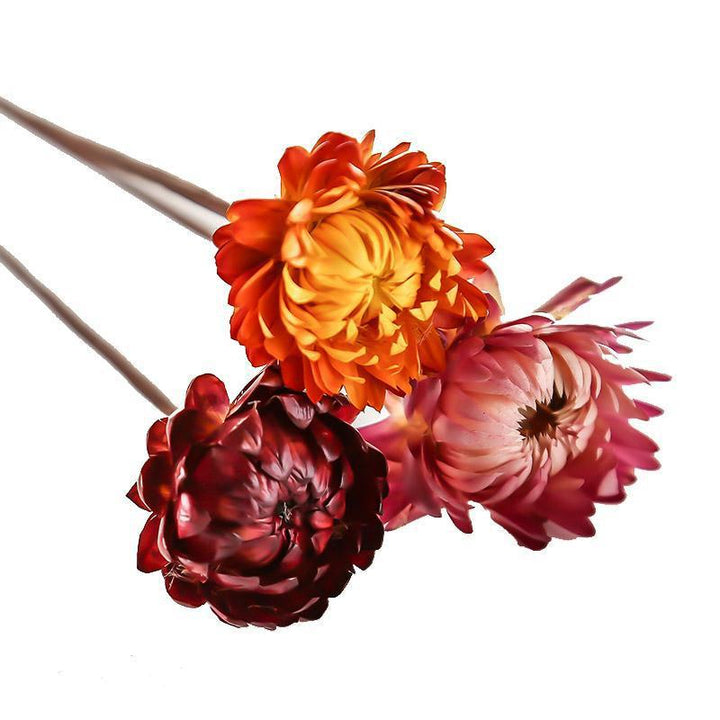 Natural Cotton Flower Stem