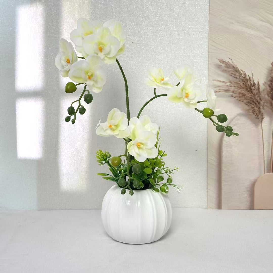 Decorative Orchid Arrangement