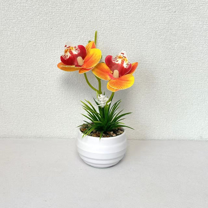 Decorative Miniature Orchid Centerpiece