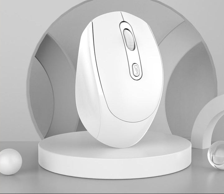 Ergonomic Wireless Mouse Kalsten