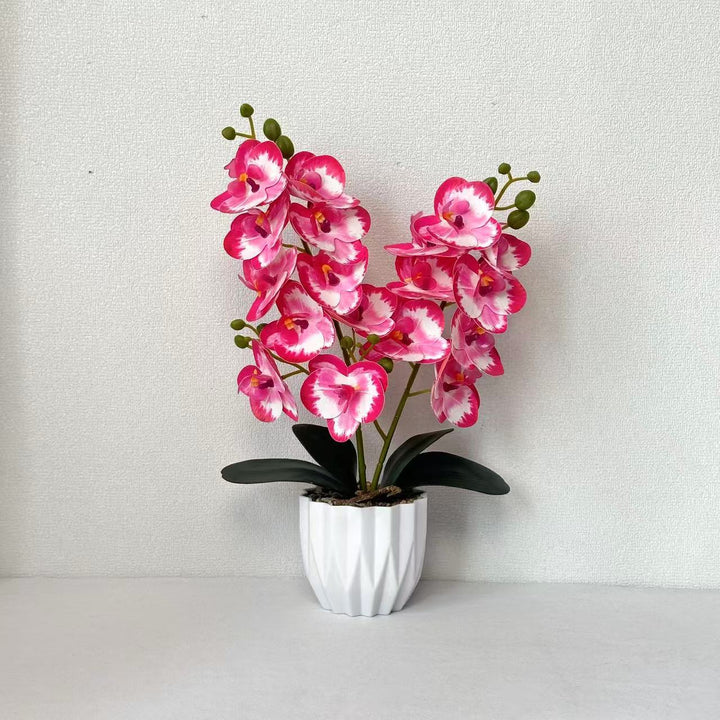 Decorative Artificial Orchid Arrangement for Indoor Home Display