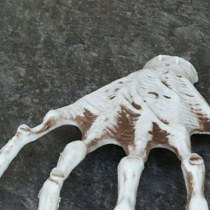Creepy Realistic Skeleton Hand Prop Kalsten