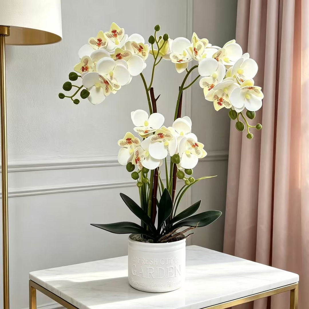 Decorative Potted Orchid Arrangement for Tabletop Decor