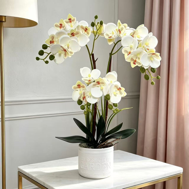 Decorative Potted Orchid Arrangement for Tabletop Decor