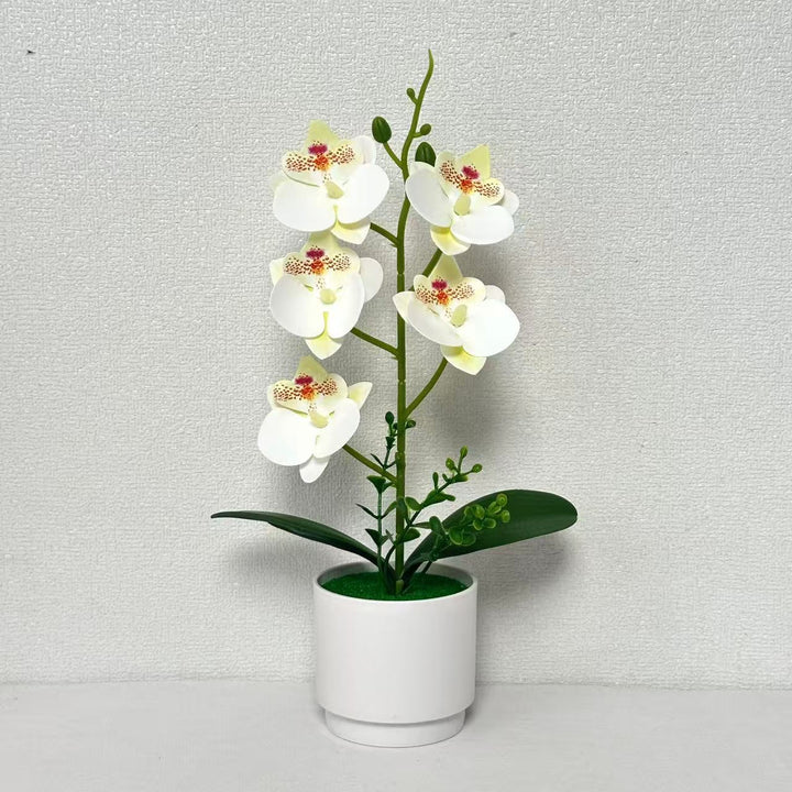 Artificial Orchid Floral Arrangement for Home Decor and Display