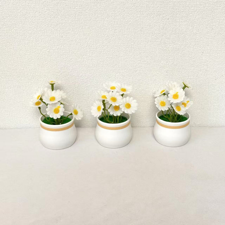 Decorative Miniature Daisy Pots