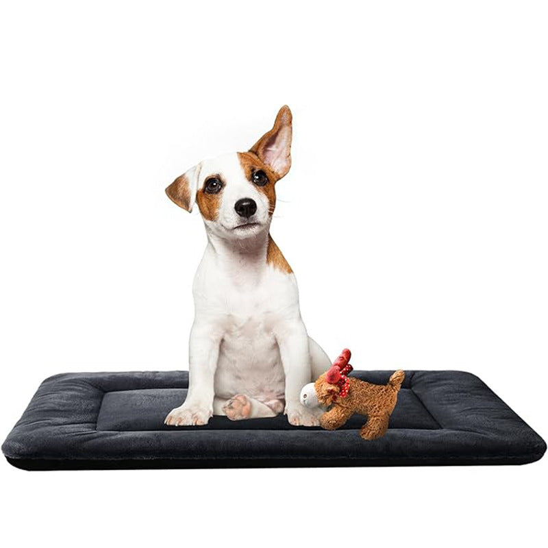 Comfort   Dog Bed