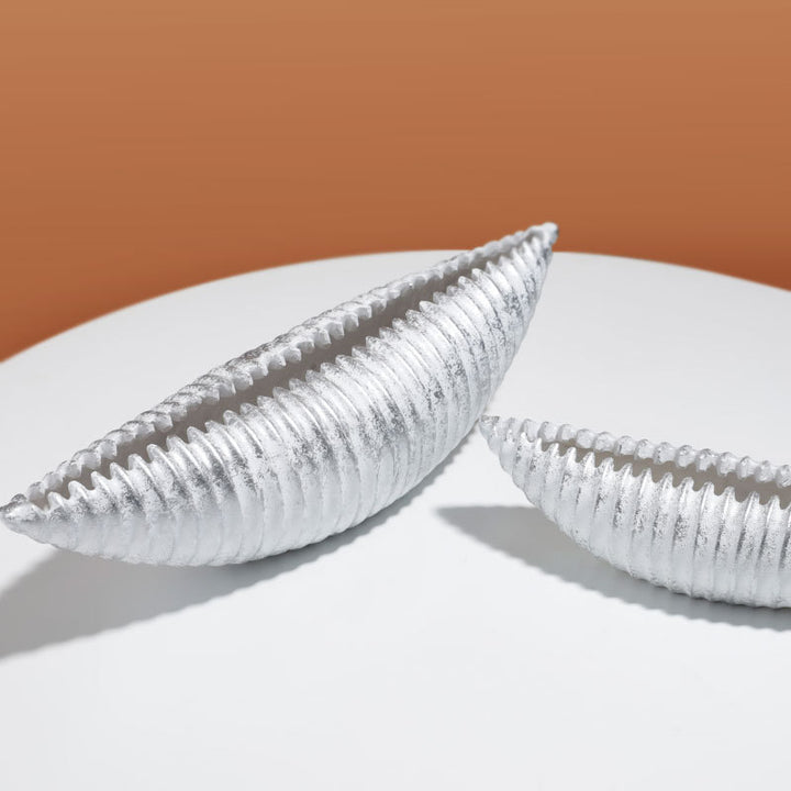 Modern Decorative Shell Shaped