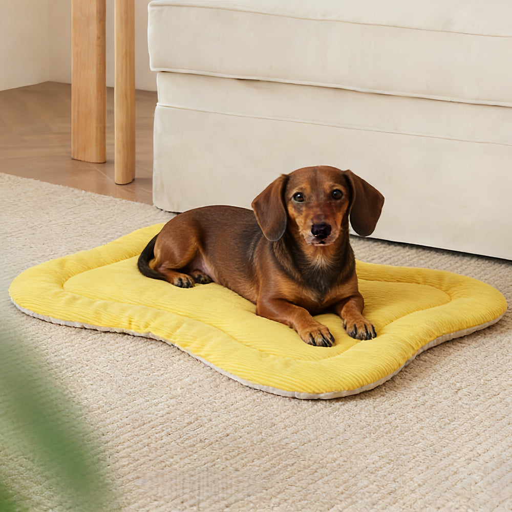 Premium dog Comfort Mat