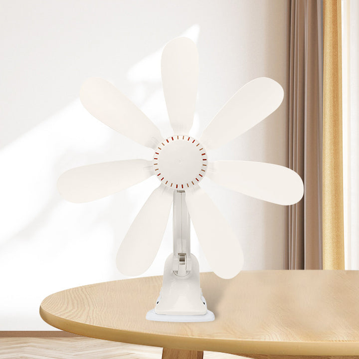 Women's Table Fan Kalsten