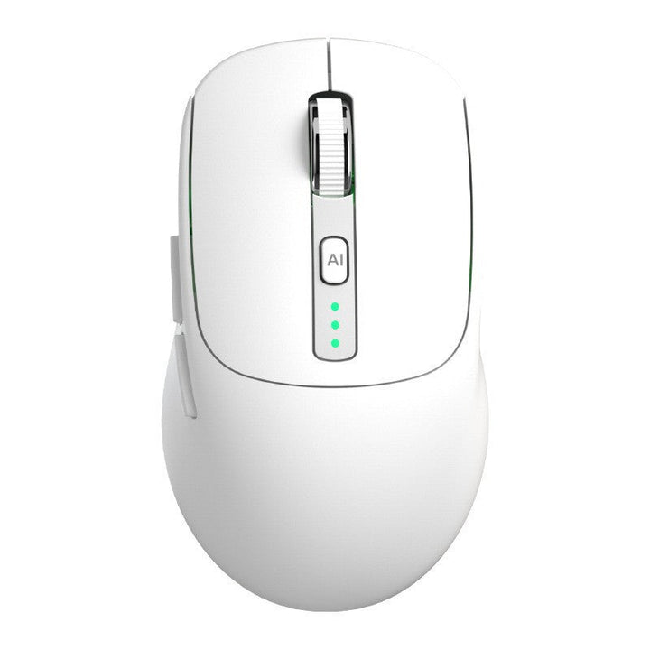 Smart Ergonomic Wireless Mouse Kalsten