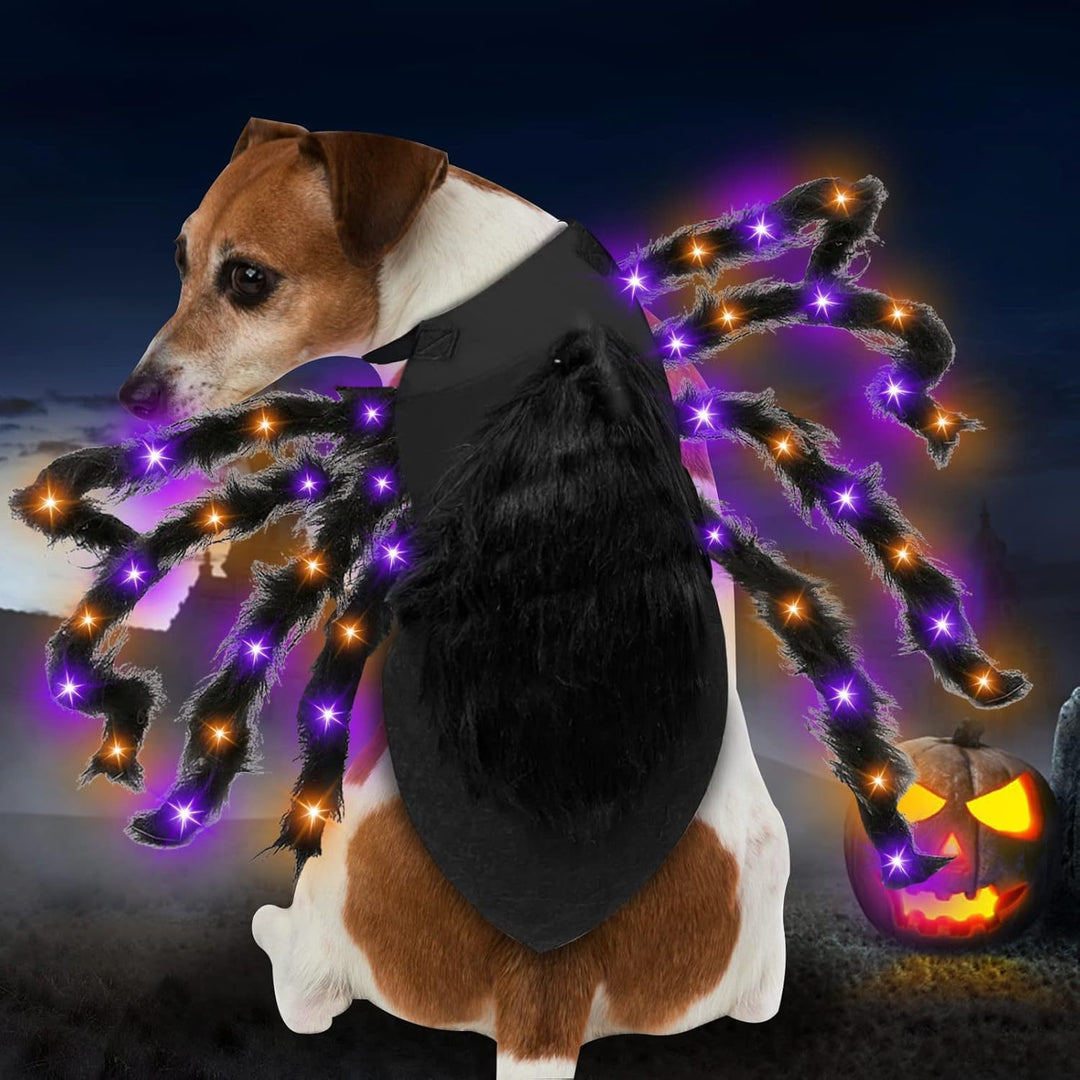 Adjustable pet spider costume with eight plush legs and velcro