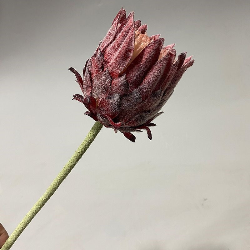 Lifelike Protea Flower Stem