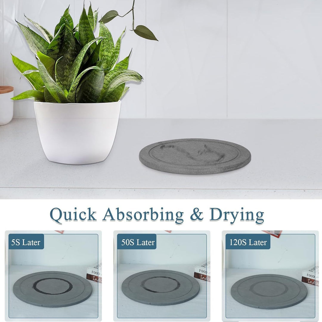 Decorative Plant Tray