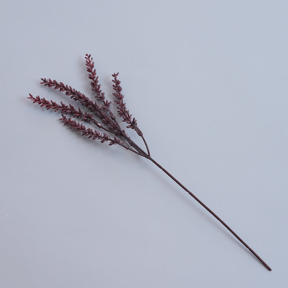 Elegant Dried Botanical Stem