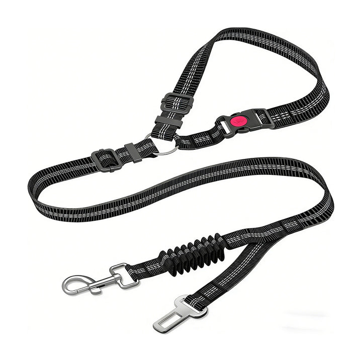Adjustable Dog Leash