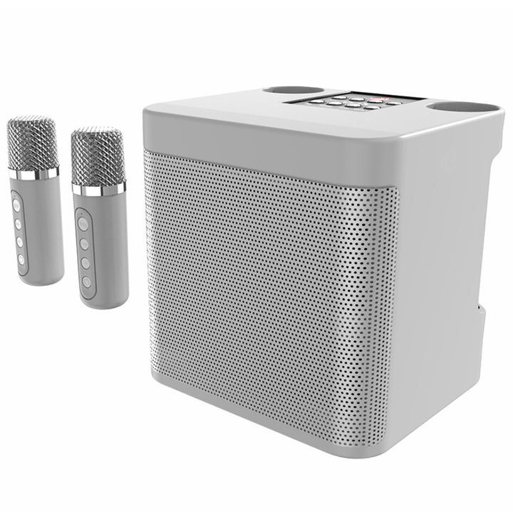 Karaoke Speaker System Kalsten