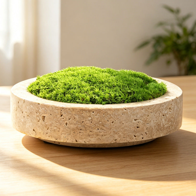 Stylish Decorative