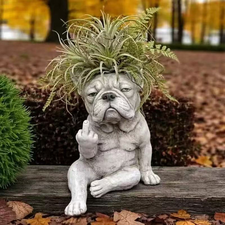 Decorative Dog Plant Kalsten