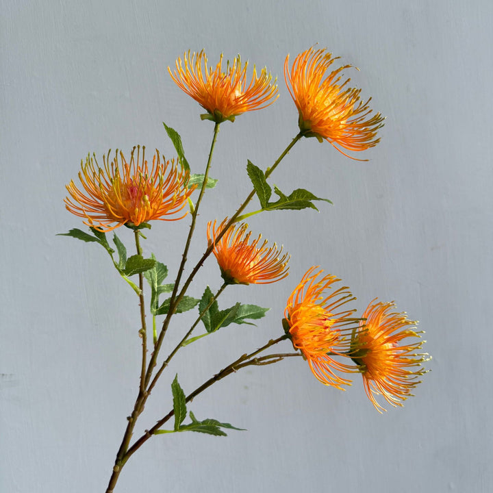 Modern Floral Arrangement
