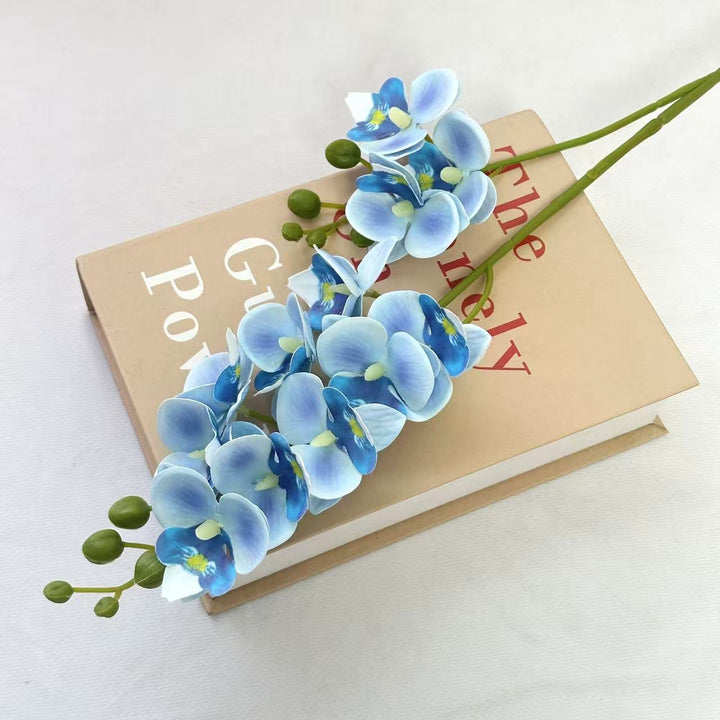Decorative Orchid for Indoor Home Display