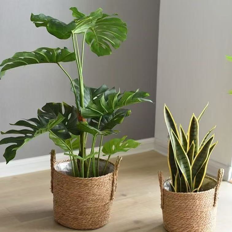 Storage Basket