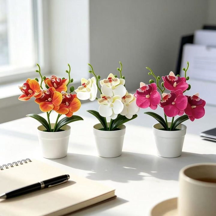 Elegant Decorative Orchid Floral Arrangement for Home Decor