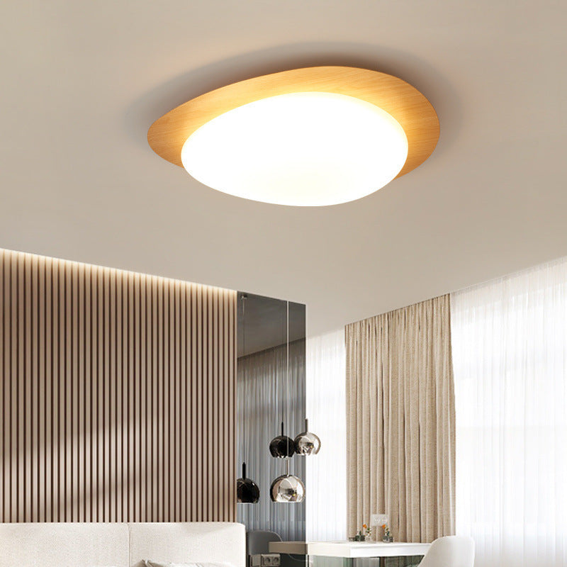 Modern Decorative Ceiling Light
