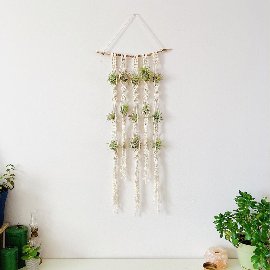 Macrame Plant Wall Hanging Organizer Kalsten