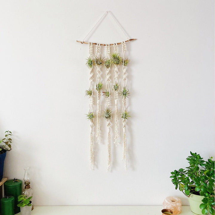 Macrame Plant Wall Hanging Organizer Kalsten