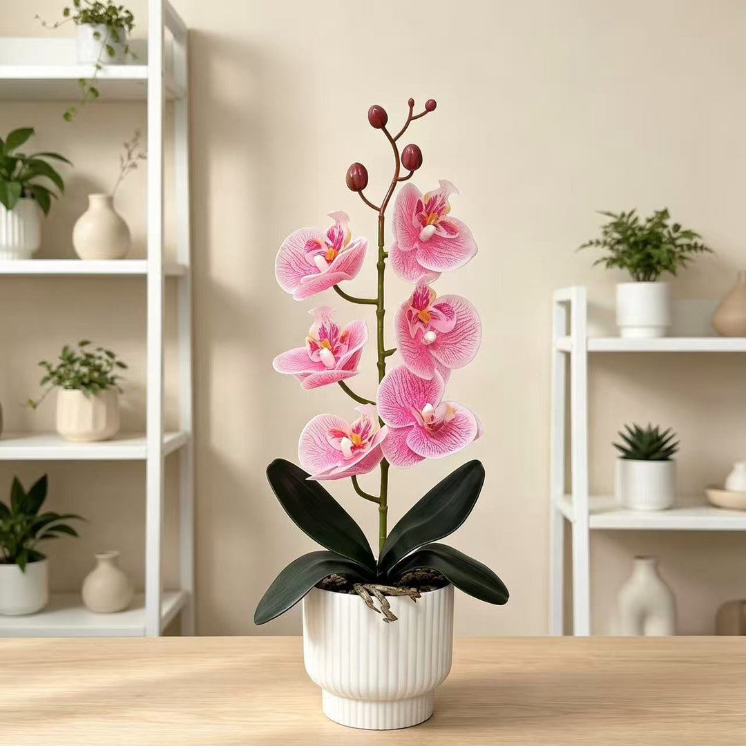 Stylish Faux Orchid Plant Arrangement