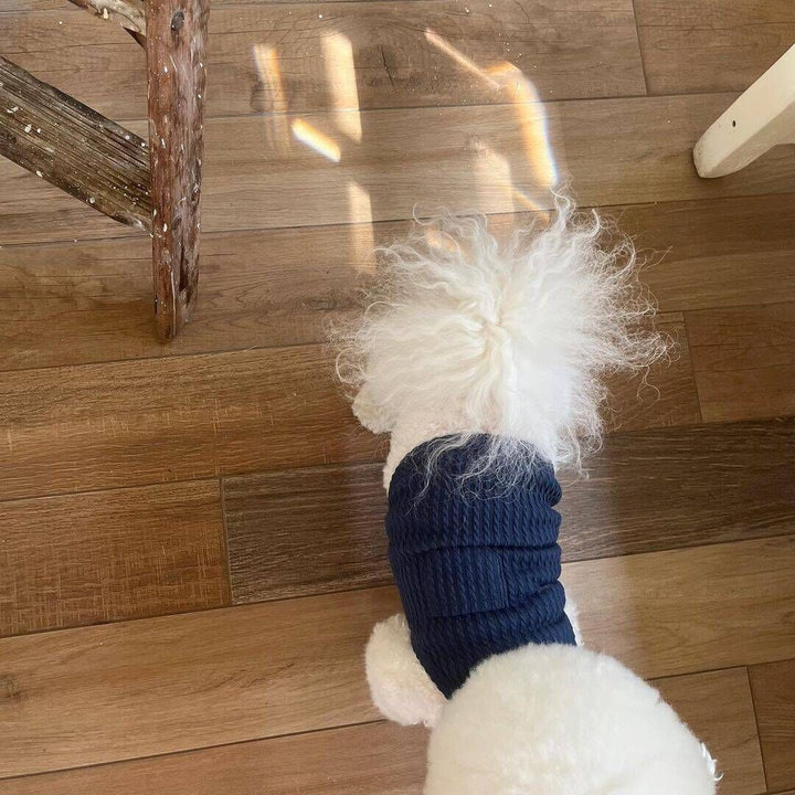 Ribbed Stretch Knit Dog Belly Vest