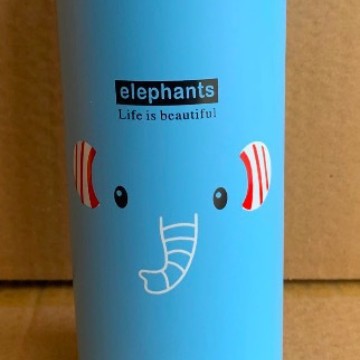 Insulated Stainless Steel Water Bottle Kalsten