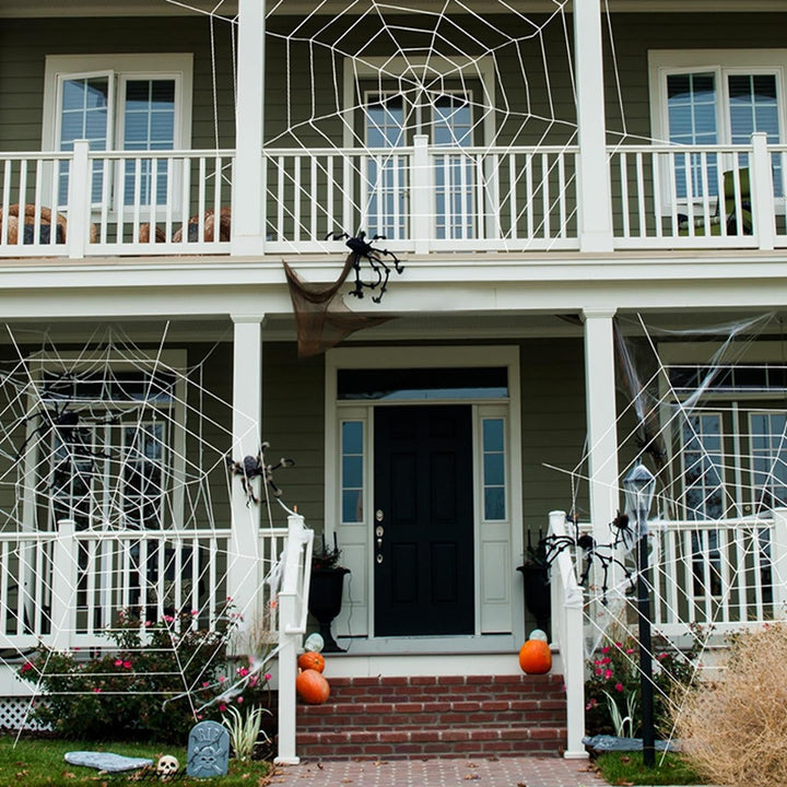 Creepy Halloween decoration spider web