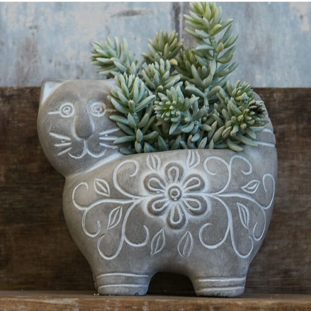 Decorative Plant Kalsten