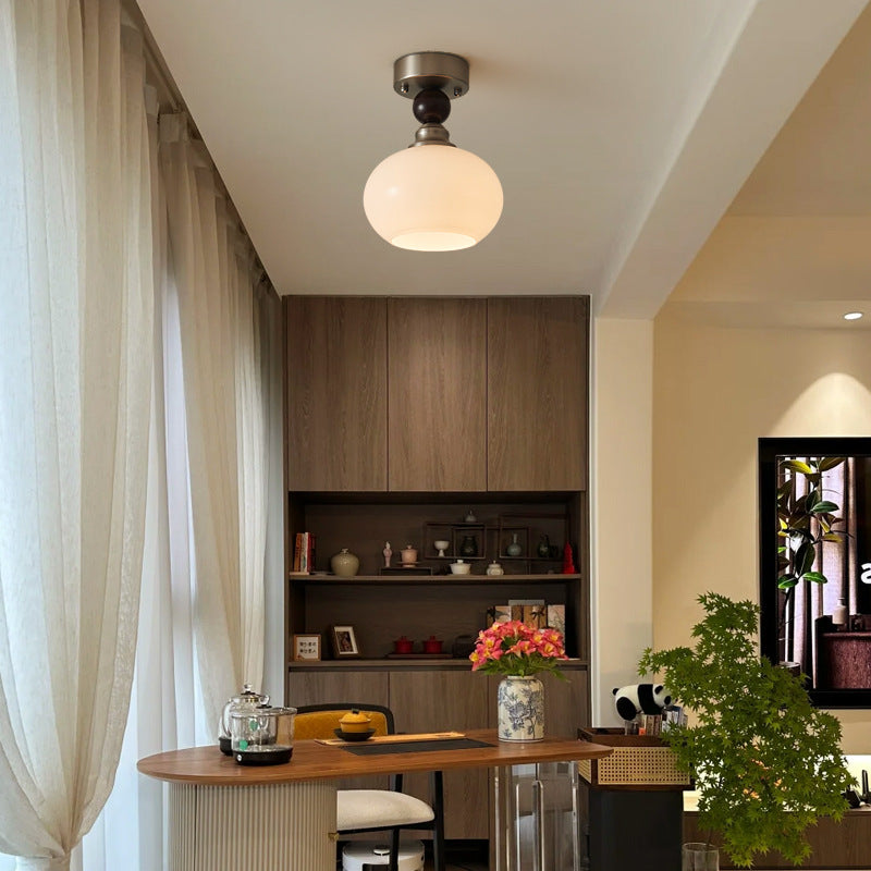 Elegant Globe Pendant Light