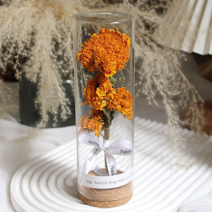 Preserved Flower Display in Elegant Glass Cylinder