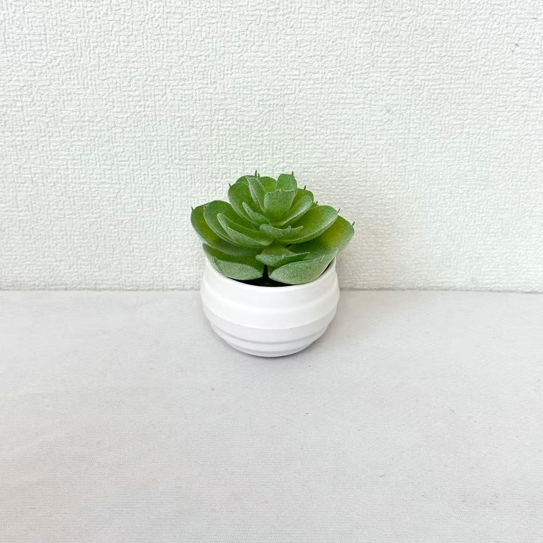Lifelike Potted Succulent Plant