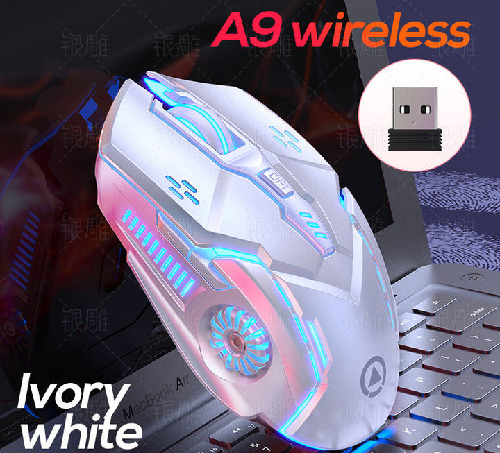 Wireless Gaming Mouse with RGB Lighting Kalsten
