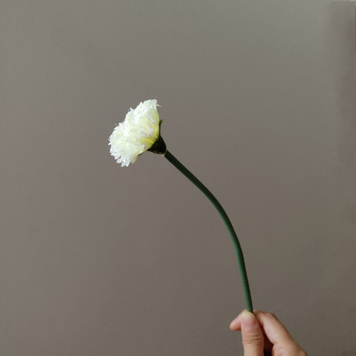 Realistic Carnation Flower Stem