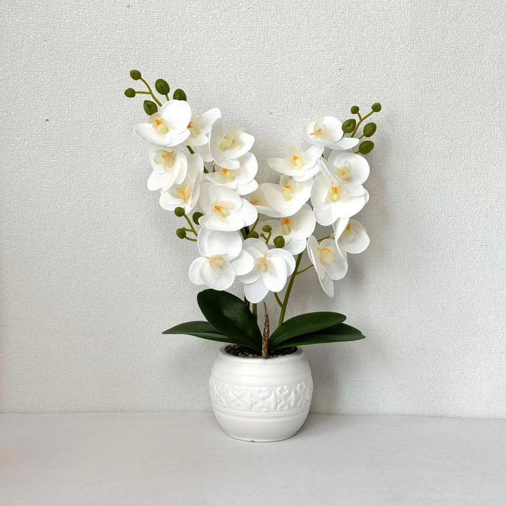 Decorative Orchid for Tabletop Home Decor