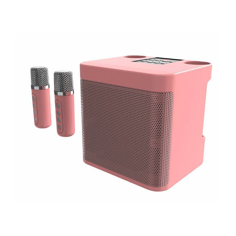 Karaoke Microphone Speaker System Kalsten