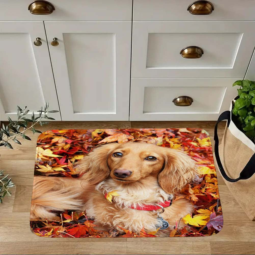 Cute Animal-Themed Kitchen Mat