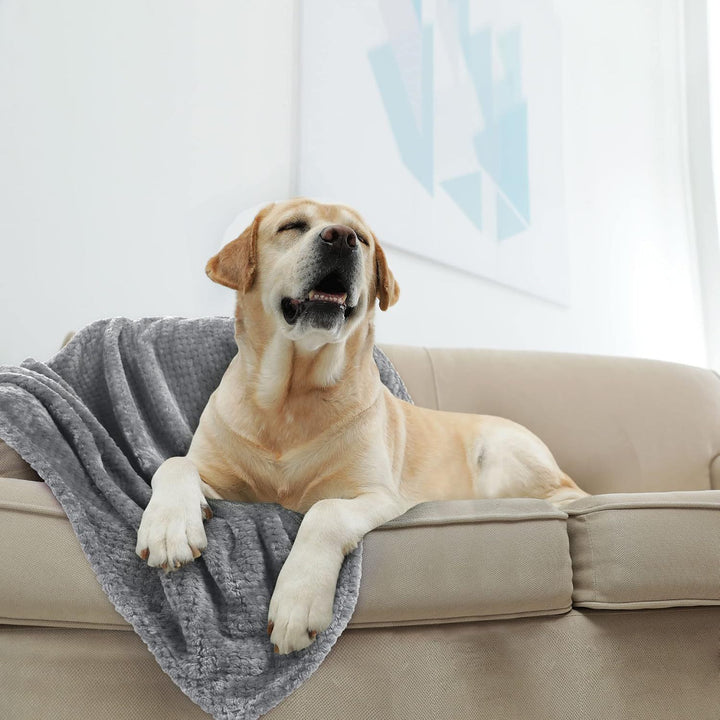 Ultra-Soft Plush Throw Blanket Kalsten