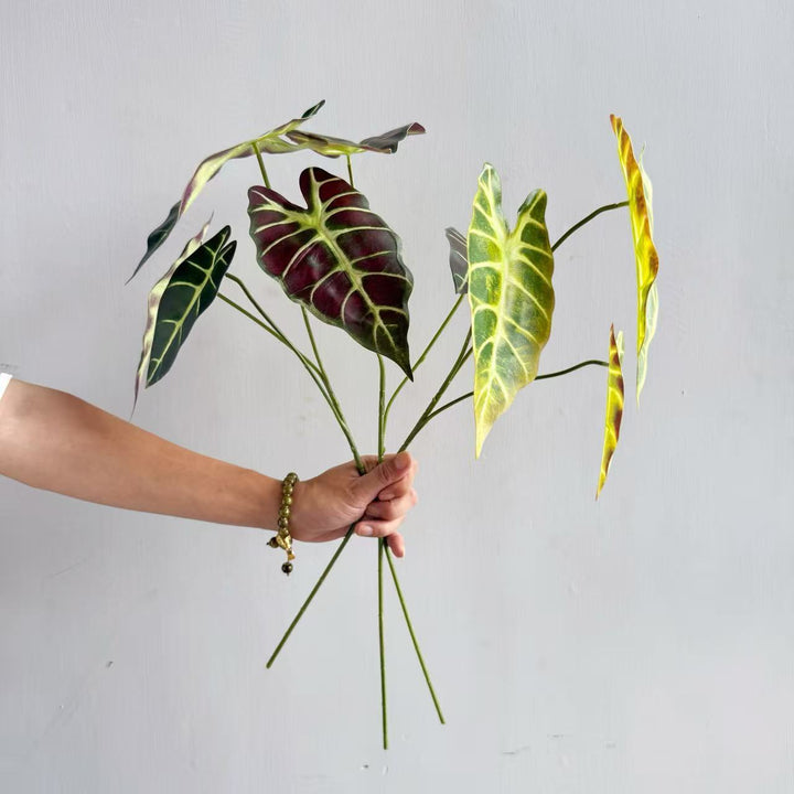 Modern Decorative Plant