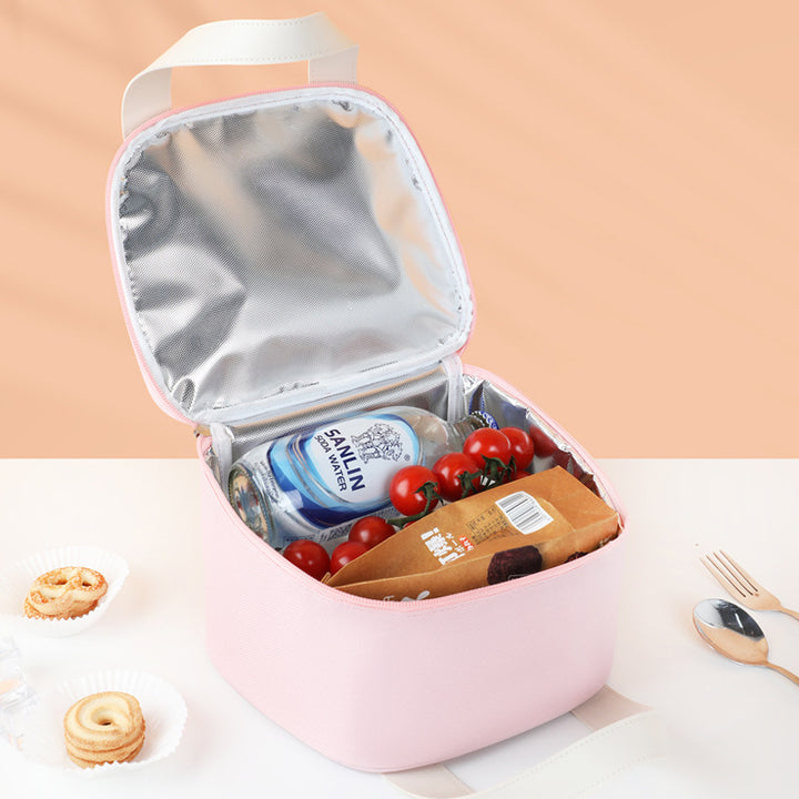 Stylish Insulated Food Carrier